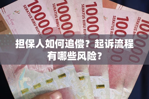 济南担保人如何追偿？起诉流程有哪些风险？
