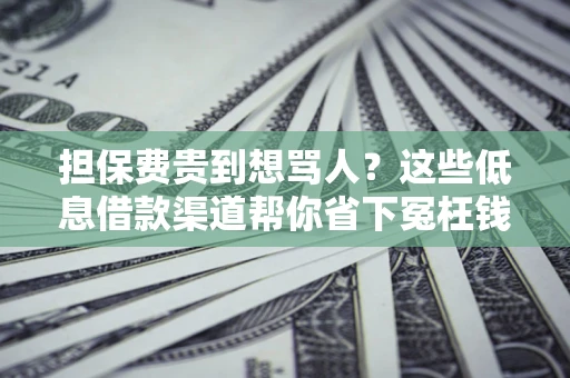 济南担保费贵到想骂人？这些低息借款渠道帮你省下冤枉钱