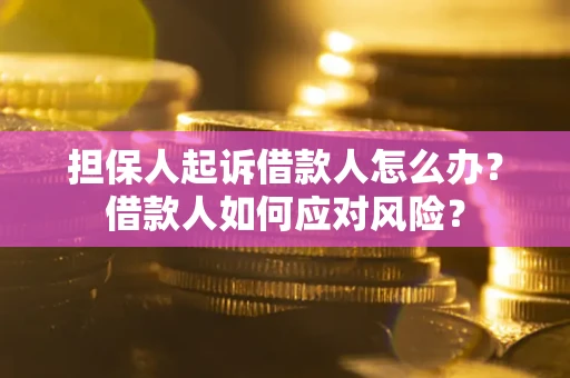 济南担保人起诉借款人怎么办？借款人如何应对风险？
