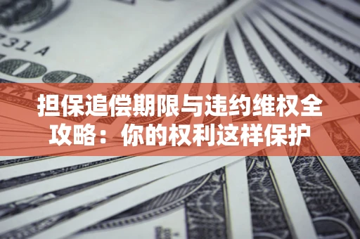济南担保追偿期限与违约维权全攻略：你的权利这样保护